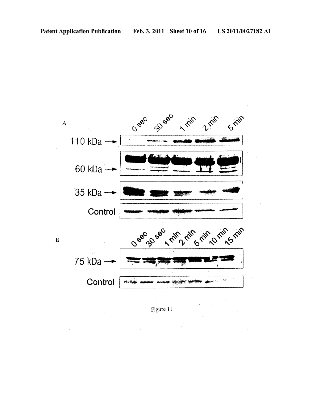 SUBSTANCE FOR OBTAINING HIGHLY EFFECTIVE TUMOR MEDICATIONS AS WELL AS A PROCESS - diagram, schematic, and image 11