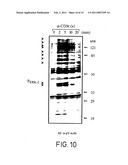 COMPONENT OF BROMELAIN diagram and image