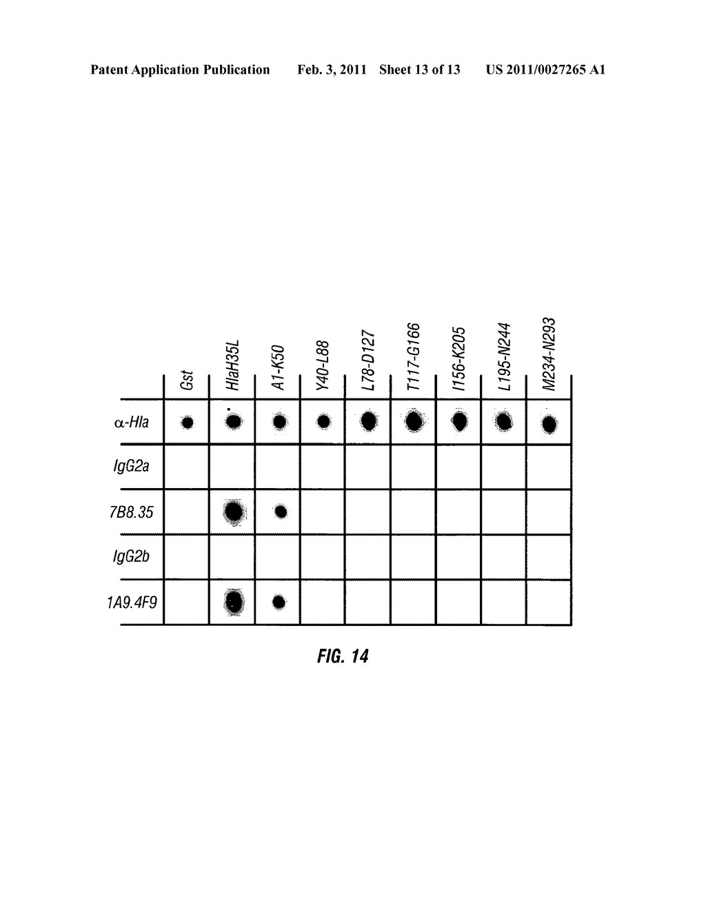 Methods and Compositions Related to Immunizing Against Staphylococcal Lung Diseases and Conditions - diagram, schematic, and image 14