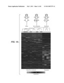 INHIBITION OF TUMOR METASTASIS diagram and image