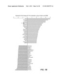 INHIBITION OF TUMOR METASTASIS diagram and image