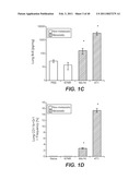 INHIBITION OF TUMOR METASTASIS diagram and image