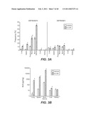 INHIBITION OF TUMOR METASTASIS diagram and image