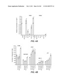 INHIBITION OF TUMOR METASTASIS diagram and image