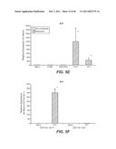 INHIBITION OF TUMOR METASTASIS diagram and image