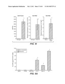 INHIBITION OF TUMOR METASTASIS diagram and image