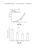 INHIBITION OF TUMOR METASTASIS diagram and image