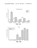 INHIBITION OF TUMOR METASTASIS diagram and image