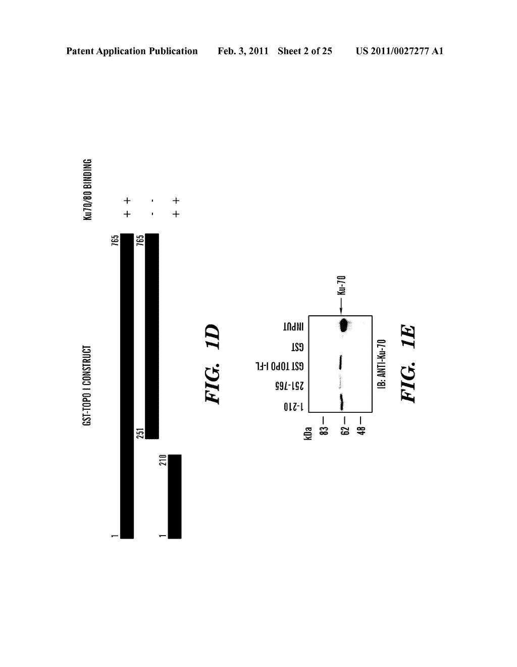 PREDICTIVE MARKER FOR TOPOISOMERASE I INHIBITORS - diagram, schematic, and image 03