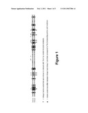 High Affinity Human Antibodies to Human Angiopoietin-2 diagram and image