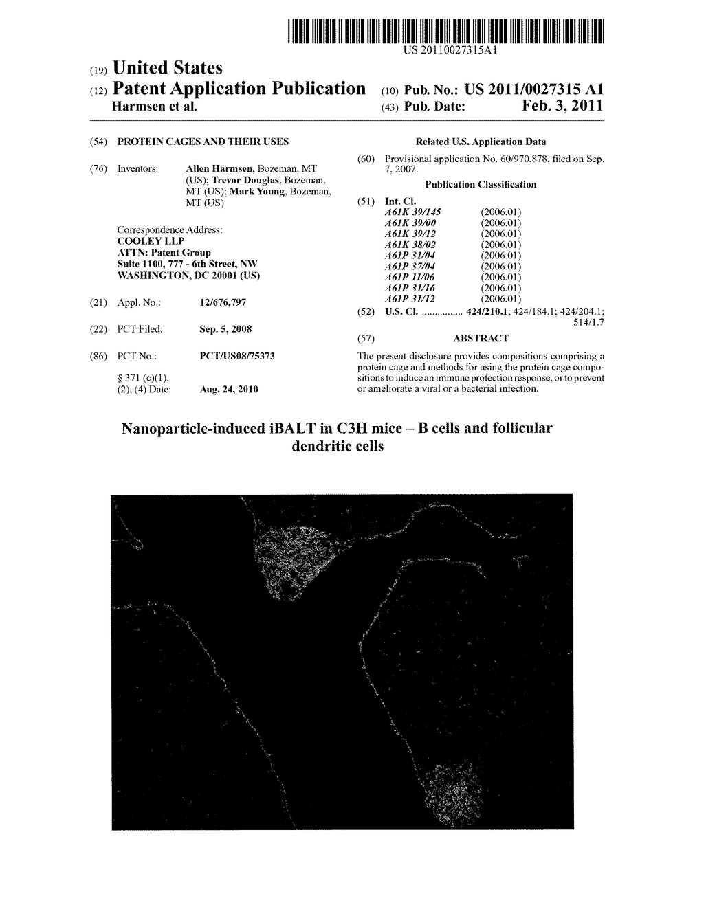 PROTEIN CAGES AND THEIR USES - diagram, schematic, and image 01