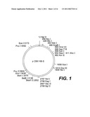 NUCLEOTIDE VECTOR, COMPOSITION CONTAINING SUCH VECTOR, AND VACCINE FOR IMMUNIZATION AGAINST HEPATITIS diagram and image