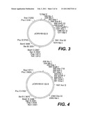 NUCLEOTIDE VECTOR, COMPOSITION CONTAINING SUCH VECTOR, AND VACCINE FOR IMMUNIZATION AGAINST HEPATITIS diagram and image