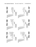 NUCLEOTIDE VECTOR, COMPOSITION CONTAINING SUCH VECTOR, AND VACCINE FOR IMMUNIZATION AGAINST HEPATITIS diagram and image