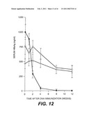 NUCLEOTIDE VECTOR, COMPOSITION CONTAINING SUCH VECTOR, AND VACCINE FOR IMMUNIZATION AGAINST HEPATITIS diagram and image