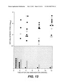 NUCLEOTIDE VECTOR, COMPOSITION CONTAINING SUCH VECTOR, AND VACCINE FOR IMMUNIZATION AGAINST HEPATITIS diagram and image