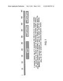 Chlamydia Vaccine Comprising HtrA Polypeptides diagram and image