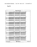 Chlamydia Vaccine Comprising HtrA Polypeptides diagram and image