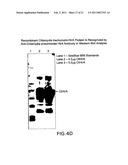 Chlamydia Vaccine Comprising HtrA Polypeptides diagram and image