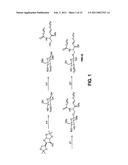 ADJUVANTS AND METHODS OF USE diagram and image