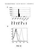 ADJUVANTS AND METHODS OF USE diagram and image