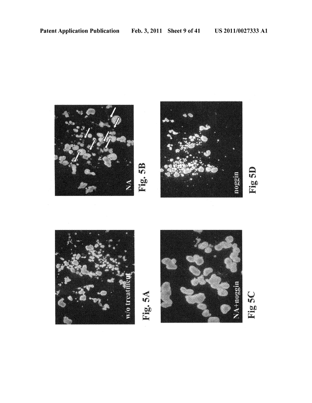 STEM CELL-DERIVED RETIN RETINAL PIGMENT EPITHELIAL CELLS - diagram, schematic, and image 10