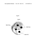 DEVICE FOR IN SITU PRODUCTION AND TOPICAL ADMINISTRATION OF ALLICIN diagram and image