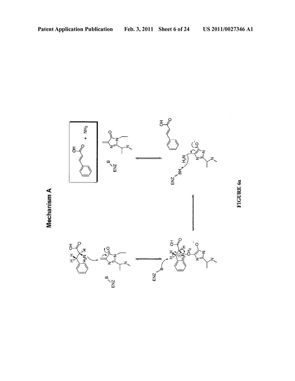 Lyase Enzymes, Nucleic Acids Encoding Them and Methods for Making and Using Them - diagram, schematic, and image 07