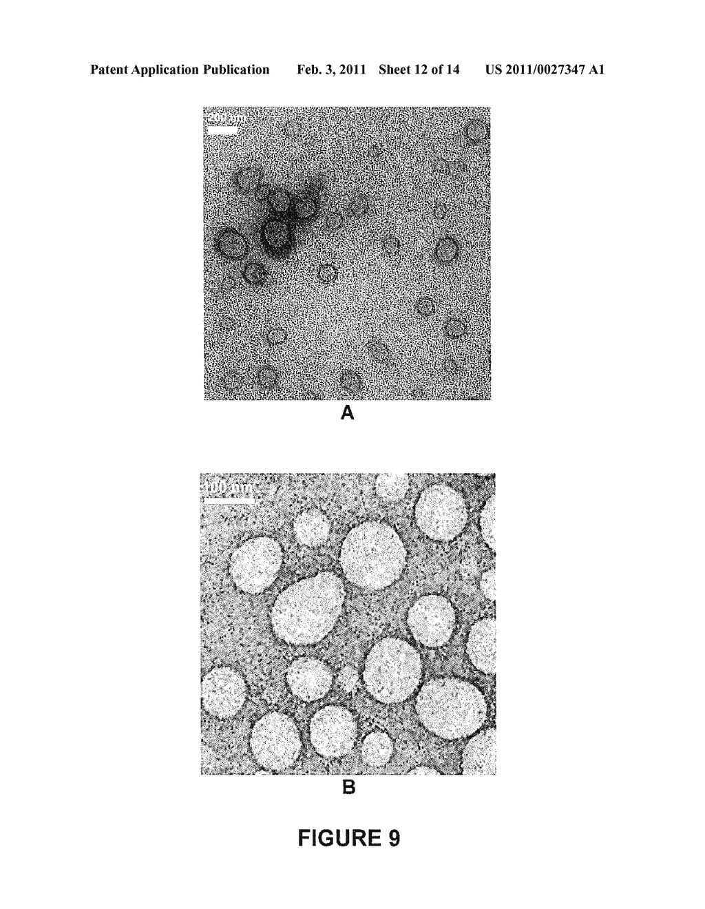 POLYMERSOMES AND METHODS OF MAKING AND USING THEREOF - diagram, schematic, and image 13