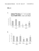 ANTI-PARKINSONIAN COMPOUNDS diagram and image