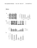 ANTI-PARKINSONIAN COMPOUNDS diagram and image