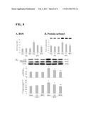 ANTI-PARKINSONIAN COMPOUNDS diagram and image