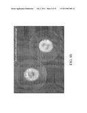 SELF-CLEANING SUBSTRATES AND METHODS FOR MAKING THE SAME diagram and image