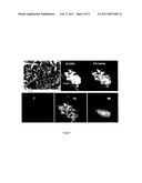 Three-dimensional microbattery with tricontinuous components diagram and image