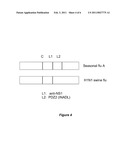 DETECTION OF INFLUENZA VIRUS diagram and image