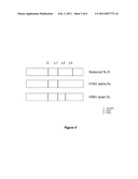 DETECTION OF INFLUENZA VIRUS diagram and image