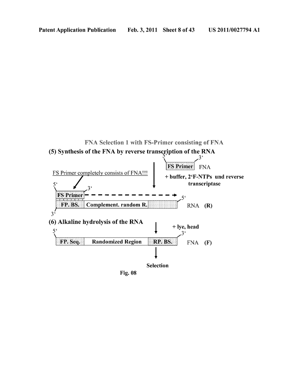 Method for Synthesizing Nucleic Acids, and Application Thereof - diagram, schematic, and image 09