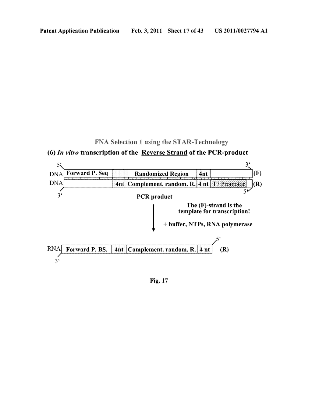 Method for Synthesizing Nucleic Acids, and Application Thereof - diagram, schematic, and image 18