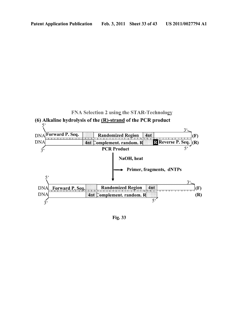 Method for Synthesizing Nucleic Acids, and Application Thereof - diagram, schematic, and image 34