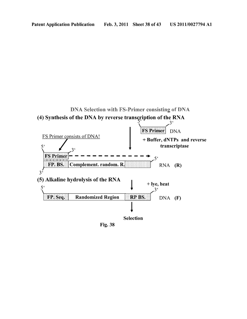 Method for Synthesizing Nucleic Acids, and Application Thereof - diagram, schematic, and image 39