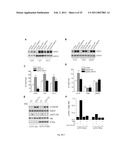 EphA KINASE CANCER DIAGNOSTIC diagram and image