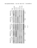 EphA KINASE CANCER DIAGNOSTIC diagram and image