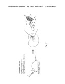 EphA KINASE CANCER DIAGNOSTIC diagram and image