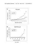 EphA KINASE CANCER DIAGNOSTIC diagram and image