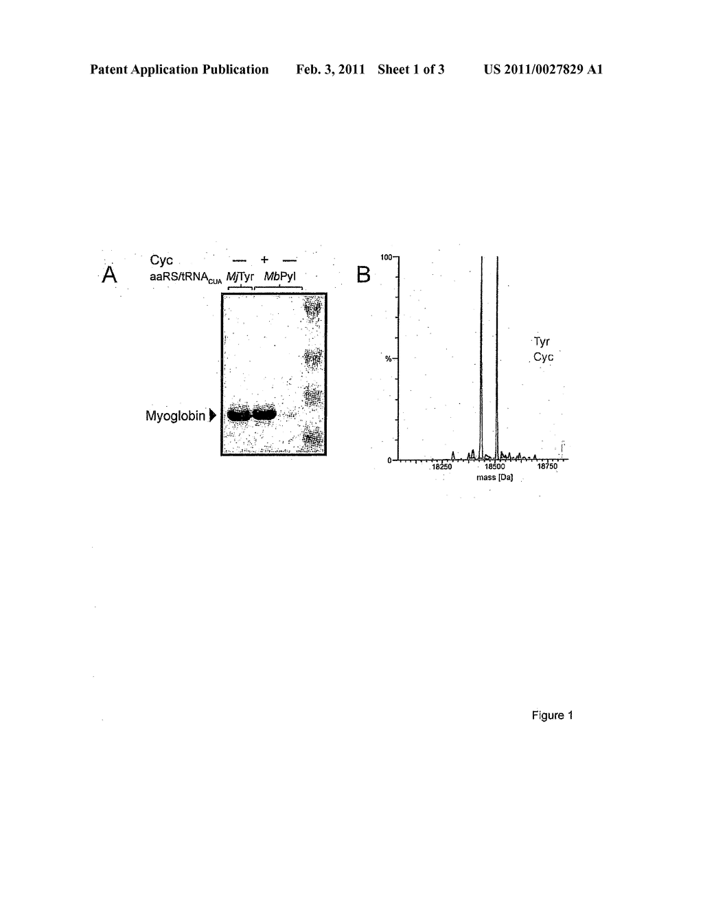 Methods and Compositions - diagram, schematic, and image 02