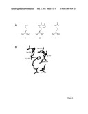 Methods and Compositions diagram and image