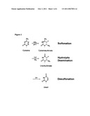 Carry-Over Protection in Enzyme-Based Dna Amplification Systems Targeting Methylation Analysis diagram and image