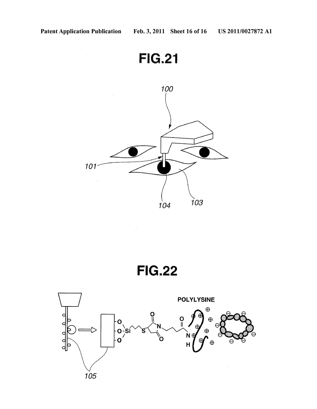 CANTILEVER FOR MEASURING INTRA-CELLULAR AND INTER-CELLULAR MICROSPACES - diagram, schematic, and image 17