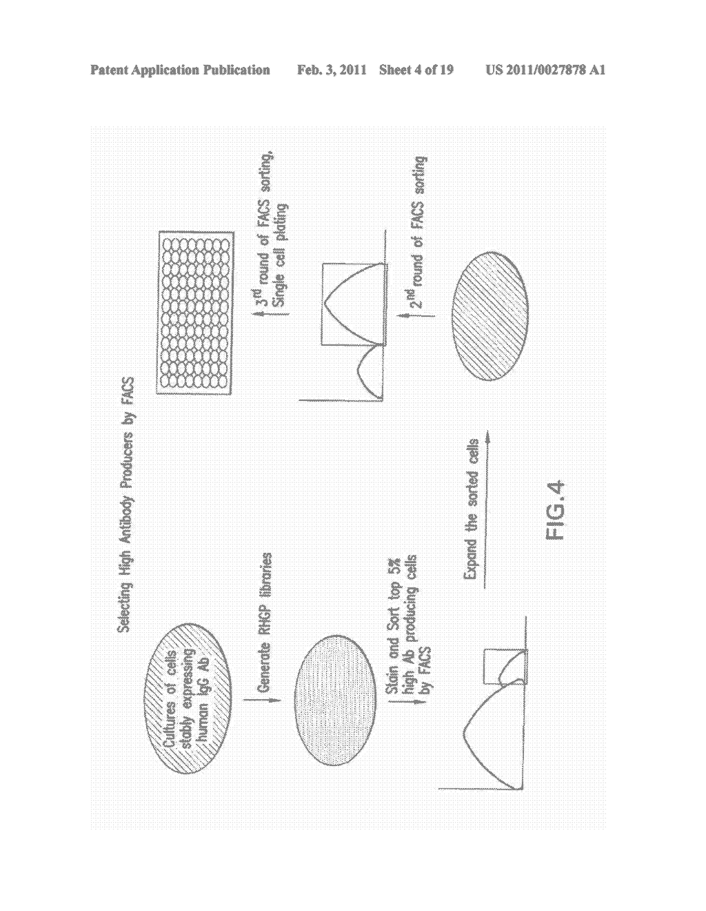 RANDOM HOMOZYGOUS GENE PERTURBATION TO ENHANCE ANTIBODY PRODUCTION - diagram, schematic, and image 05