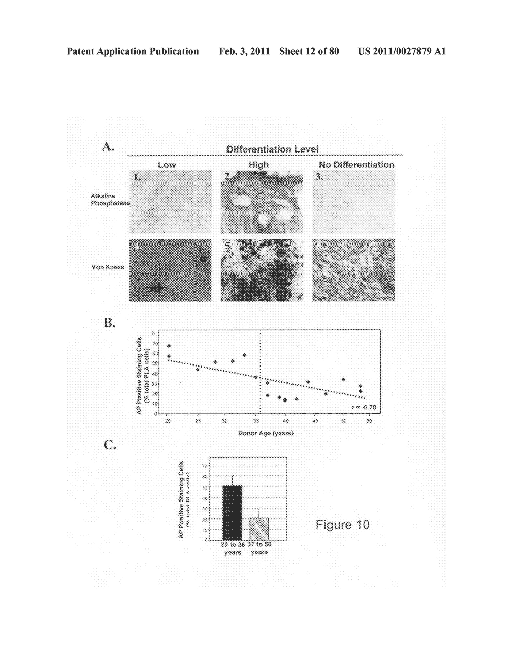 Adipose-derived stem cells and lattices - diagram, schematic, and image 13